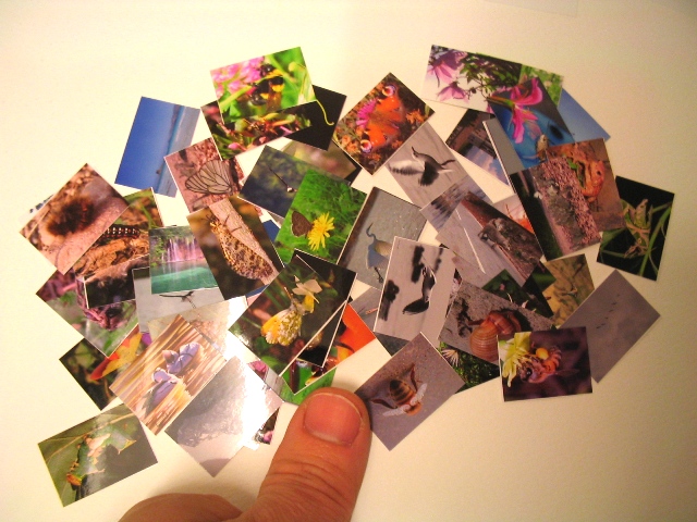 Mostra fotografica del FNM con tema 